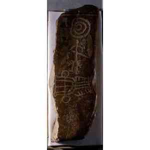 Click para ampliar. Pulsa en el nombre para ver la ficha. Zarzacapilla: estela